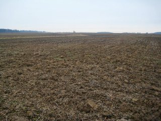 Property photo 25 - 414.5 +/- Acres Offered in 6 Tracts - Prime Indiana Farmland